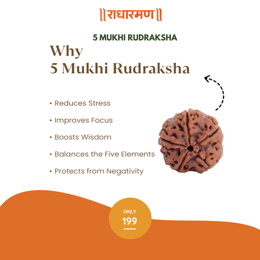 5 Mukhi Rudraksha – 100% Authentic & Certified
