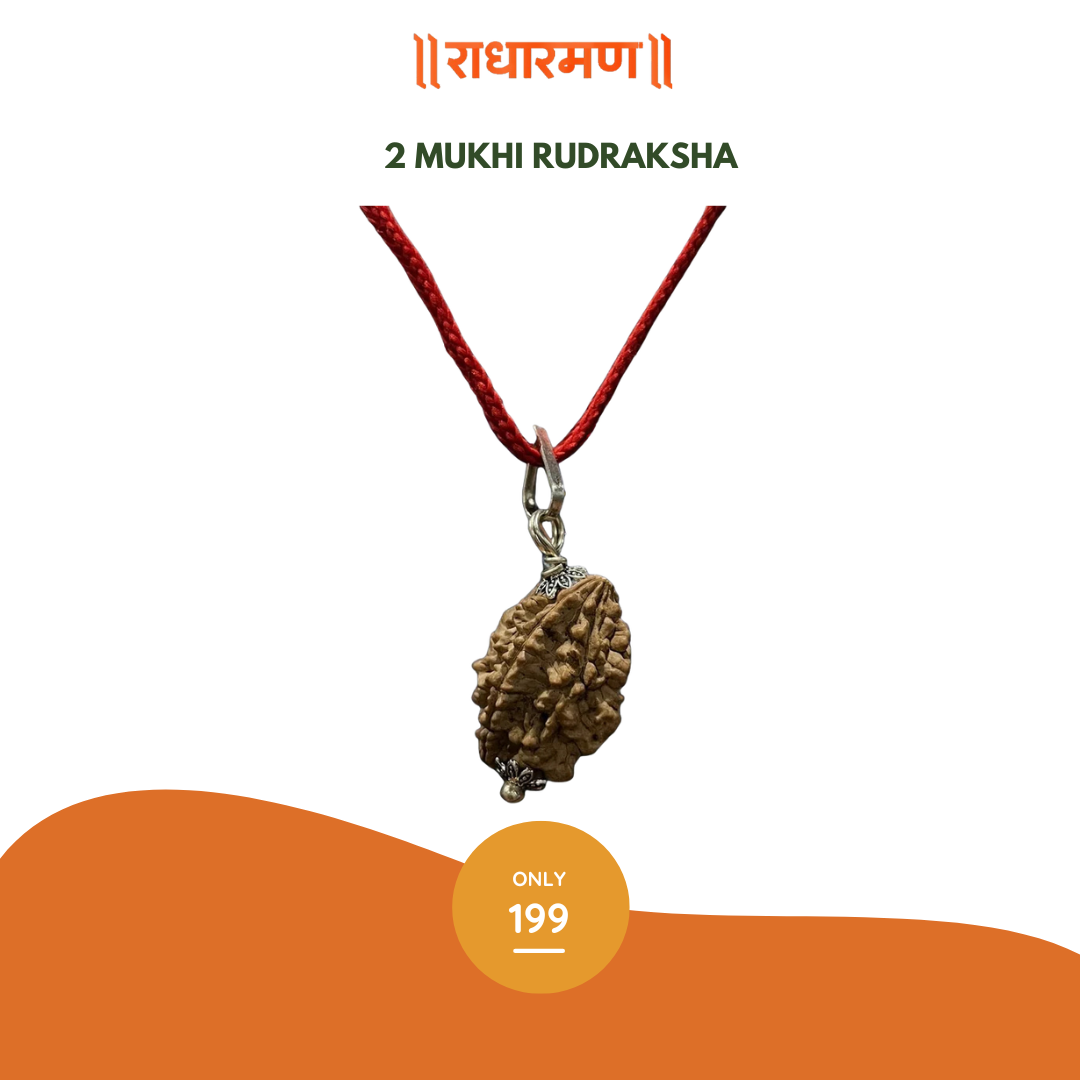 2 Mukhi Pure Rudraksha - Vrindavan