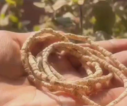 Radharaman Prashadi Tulsi Kanthi - 2 Round