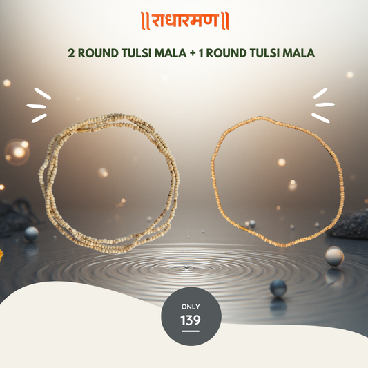 2 Round Tulsi Kanthi Mala + 1 Round Tulsi Mala
